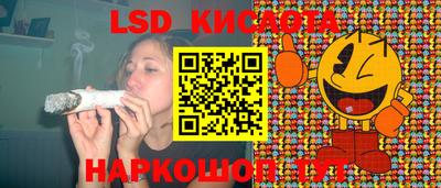 apvp Красноармейск